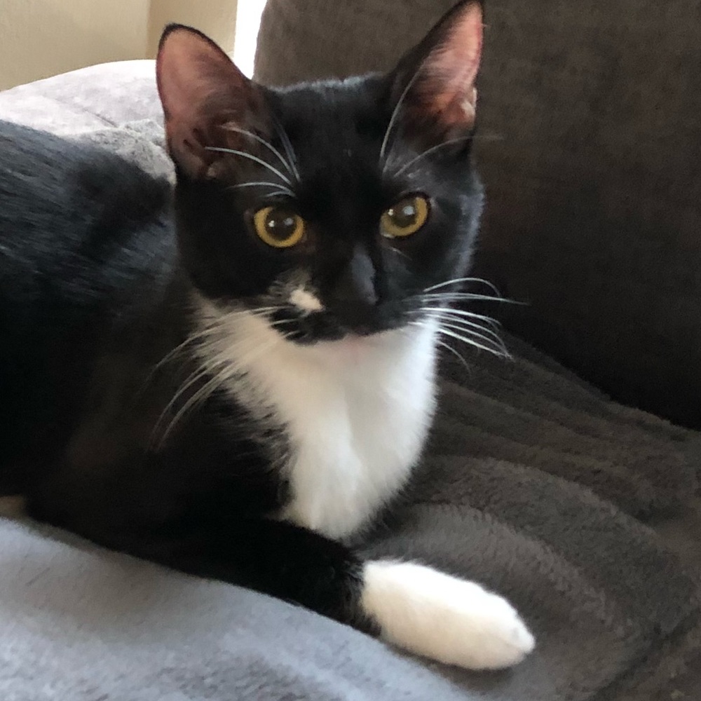 Meet your Posher, Anastasiya